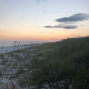 Meet your Posher, Autum